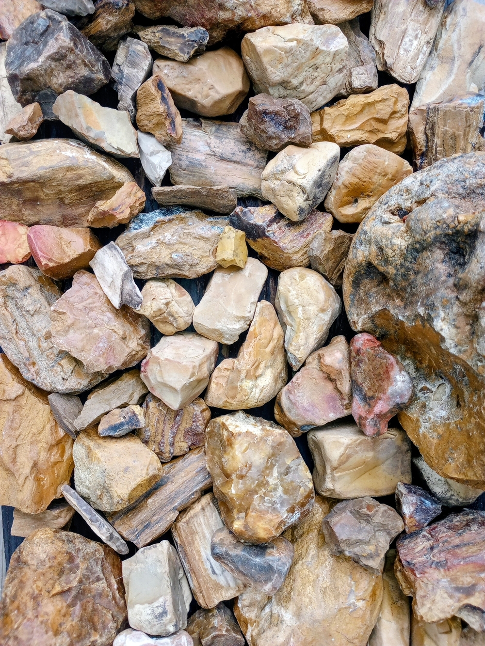 Raw Petrified Wood And Agate 1lb - Picture 2 of 10